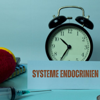 Système endocrinien