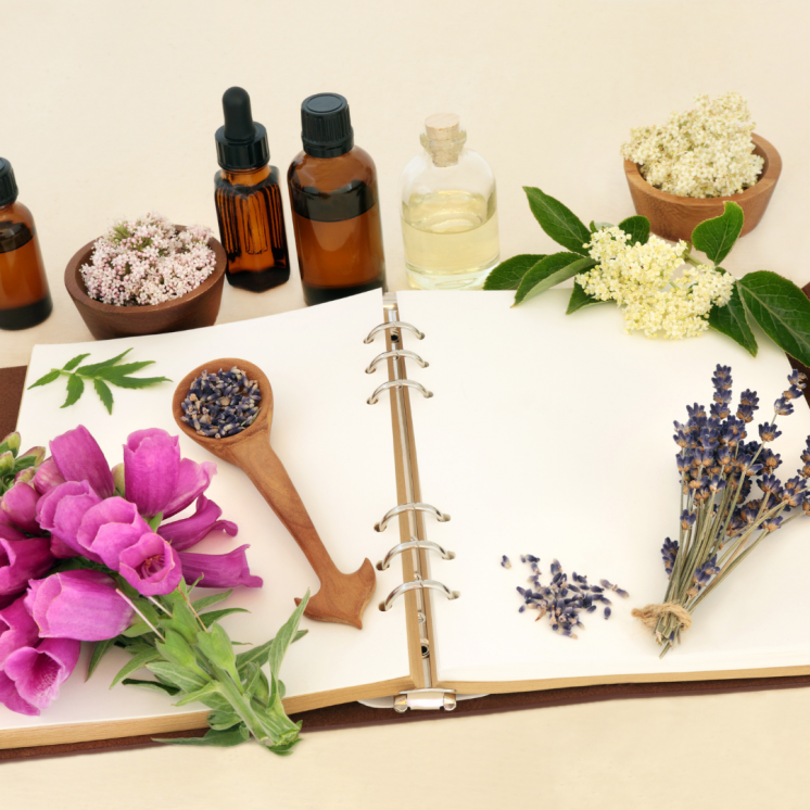 Formation Educateur de Santé en Naturopathie